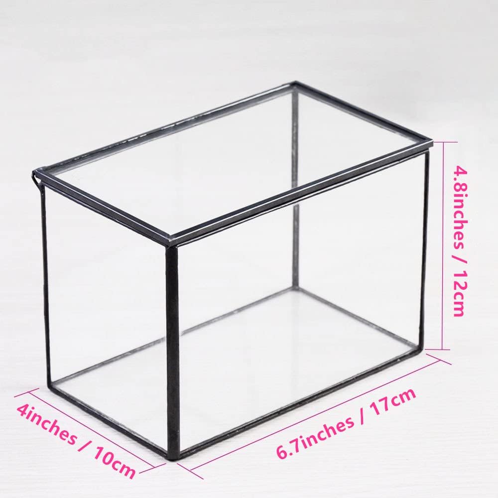 NCYP Small Rectangle Glass Terrarium Planter with Lid, 6.7 x 4 x 4.8 Inches Clear Black Geometric Flower Pot Box for Succulents Air Plant Fern, Tabletop Decoration (No Plants)