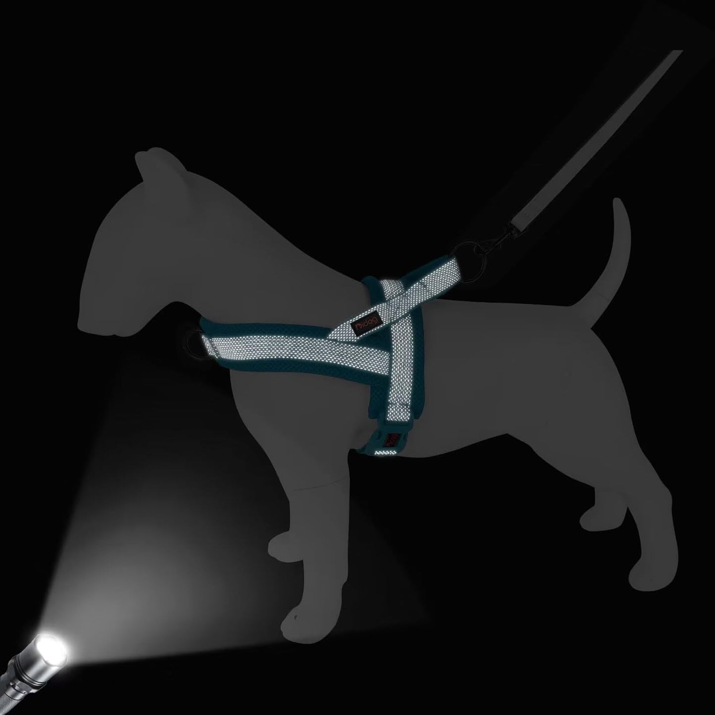 Didog No Pull Dog Harness with Breathable Mesh Padded, Full Reflective & Quick Fit Adjustable Vest Harness, Easy for Training Walking for Small & Medium and Large Dogs (Blue, M:Chest 21-26")