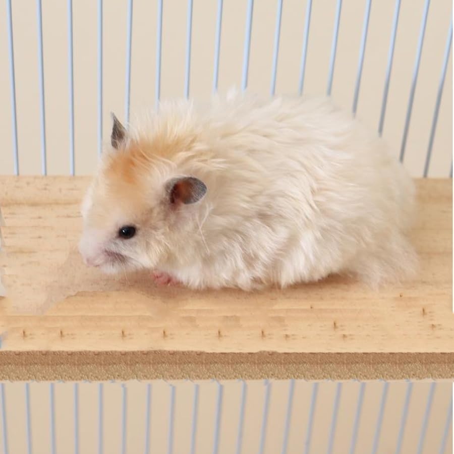 3 Pack Bird Perch Stand 12.4×5.3 Inch- Rectangular Wood Platform Wood Perch Stand Board Shelf for Parrot, Lovebird, Hamster, Guinea Pig, Chinchilla