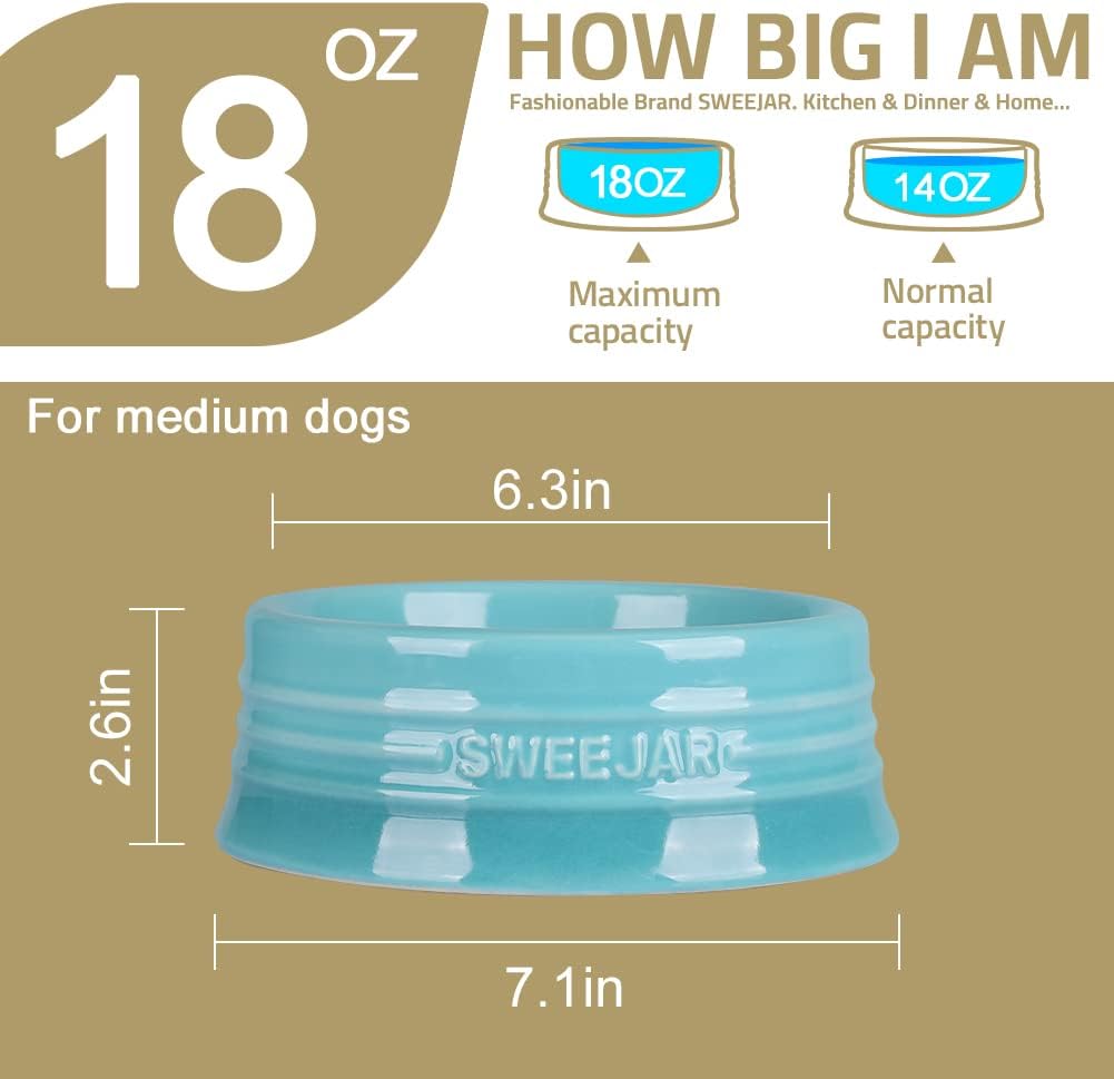 Sweejar Gradient Dog Bowl, Ceramic Dog Food Dish for Medium Dogs and Cat, Porcelain Pet Bowl for Food and Water 18 oz (Gradient Light Blue)