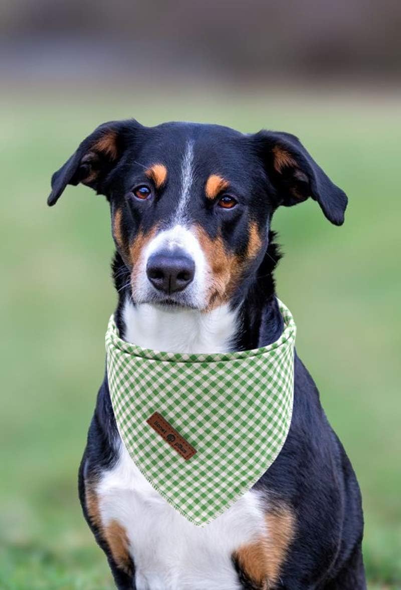 Lionet Paws Dog Bandana for Small Medium Large Dogs, Cat Dogs Kerchief Triangle Bibs Scarf for Girl or Boy
