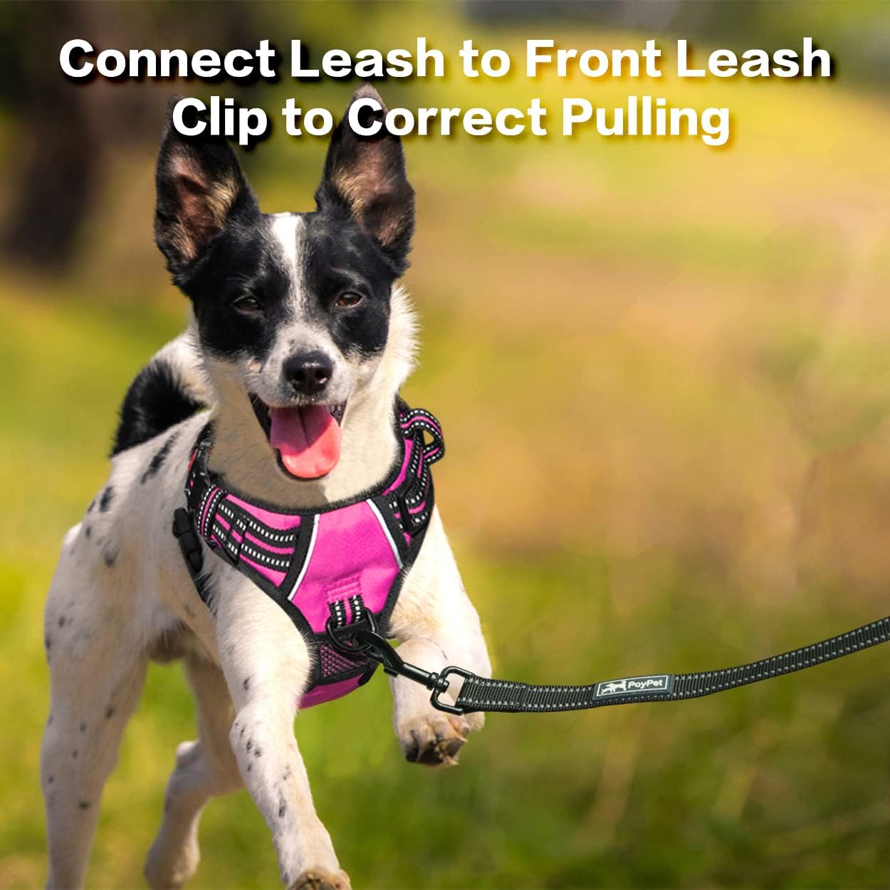 PoyPet No Pull Dog Harness, No Choke Front Clip Reflective Dog Vest with Soft Padded Vertical Handle, 3 Leash Attachments for Small Medium Large Dogs (Pink,M)