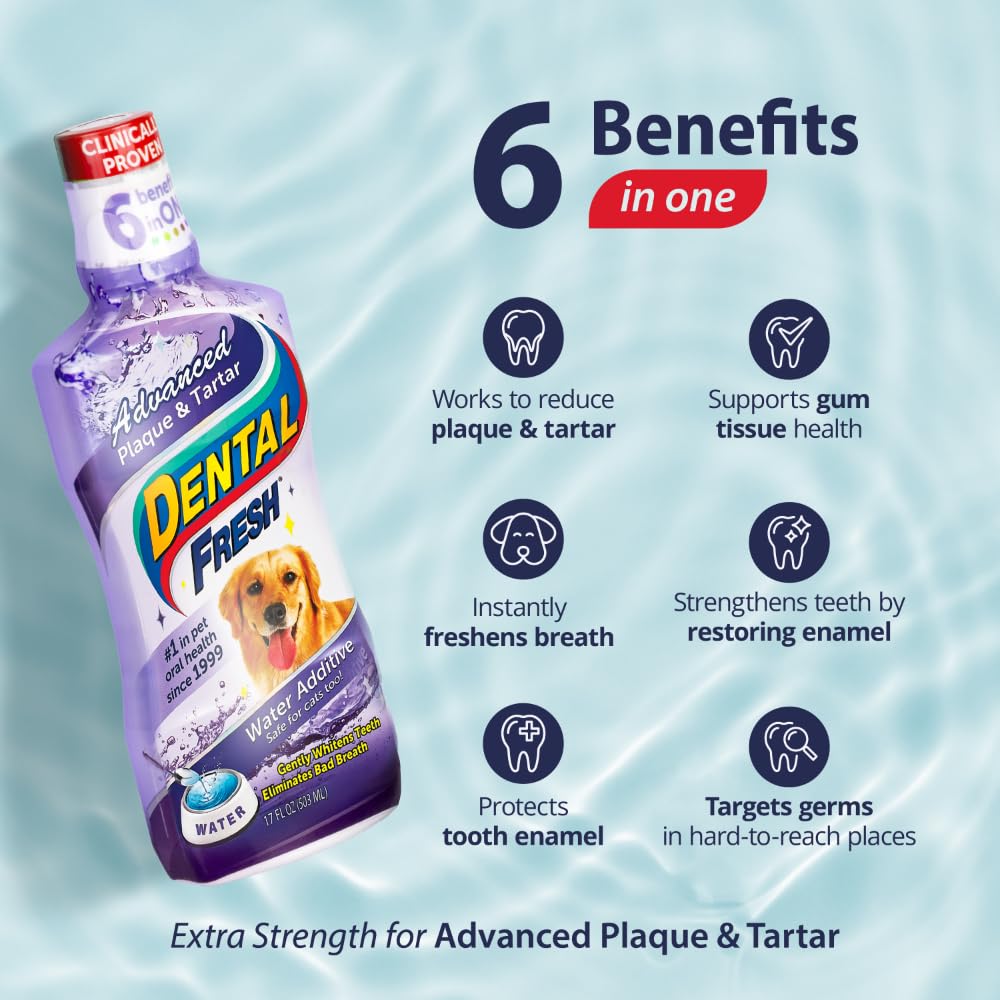 Dental Fresh Advanced Plaque and Tartar Water Additive, 32oz – Dog Teeth Cleaning Formula to Freshen Breath and Improve Cat & Dog Dental Care