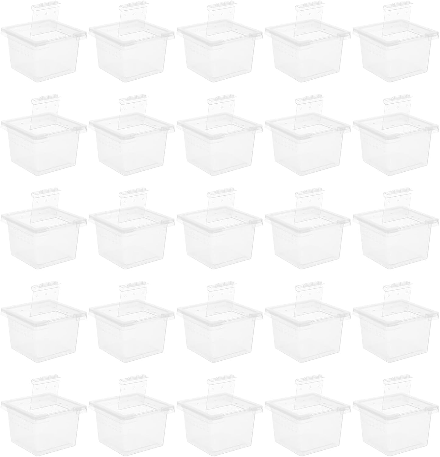 balacoo Reptile Feeding Box: 100Pcs Reptile Breeding Box Plastic Transparent Feeding Enclosure Case Hatching Container with Lid for Spider Scorpion Gecko Snake Tortoise