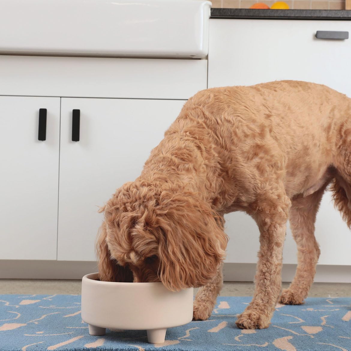 Waggo Uplift Ceramic Dog Bowl for Small Medium and Large Breeds - Heavyweight and Durable Pet Food and Water Dish Crock, Dishwasher Safe, Modern, Elevated Feeder (Mustard, Small)