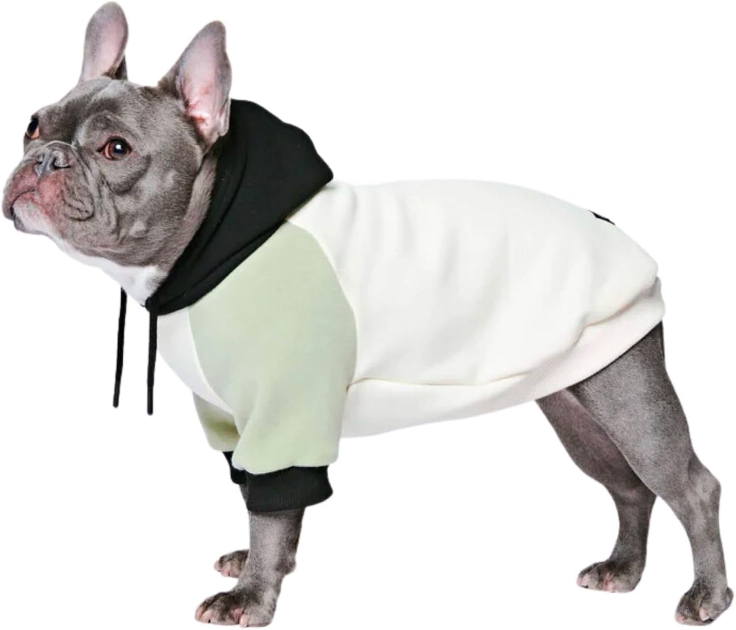Spark Paws Dog Hoodie – Premium Dog Sweater for Small, Medium, and Large Dogs | Warm Outfits for French Bulldogs, Pitbull, Puppy, Winter Jacket Alternative - Olive Cream - XL