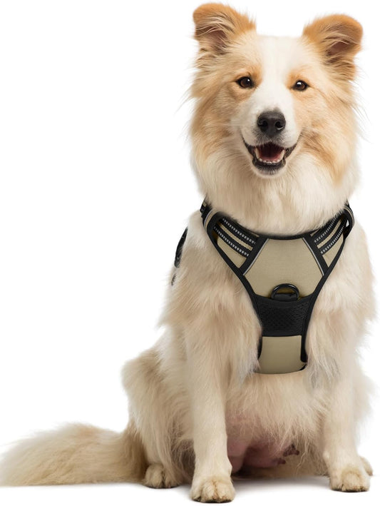 rabbitgoo Dog Harness No Pull with 2 Leash Clips, Adjustable Soft Padded, Reflective Oxford No Choke Pet Vest with Easy Control Handle for Medium Sized Dogs, Beige, M
