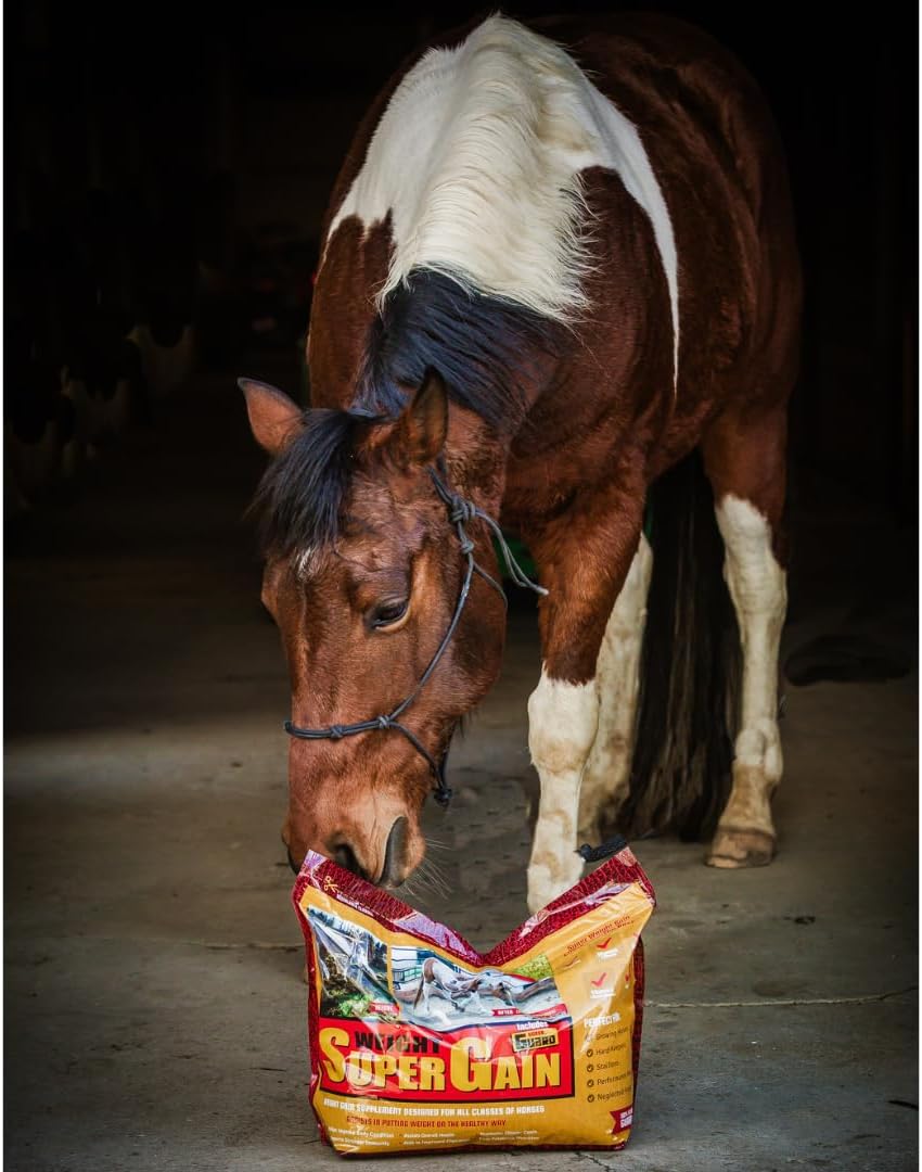 Super Weight Gain 24 lb, Equine Vitamin Mineral, Probiotic & Weight Gain Supplement