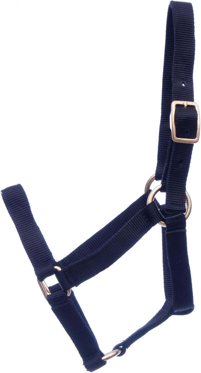 Jeffers Equine Mini Horse Halter – 3/4" Nylon Adjustable Halter for Miniature Horses, Ponies, Under 200 lbs – Heavy Duty Hardware, Secure Fit for Training, Turnout, Grooming, Travel – Black