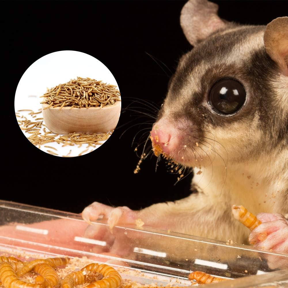 Bulk Mealworms 11Lbs, High-Protein Dried Mealworms, 100% Non-GMO Mealworm Treats for Birds, Chickens, Turtles, Fish, Hamsters and Hedgehogs All Natural Animal Feed