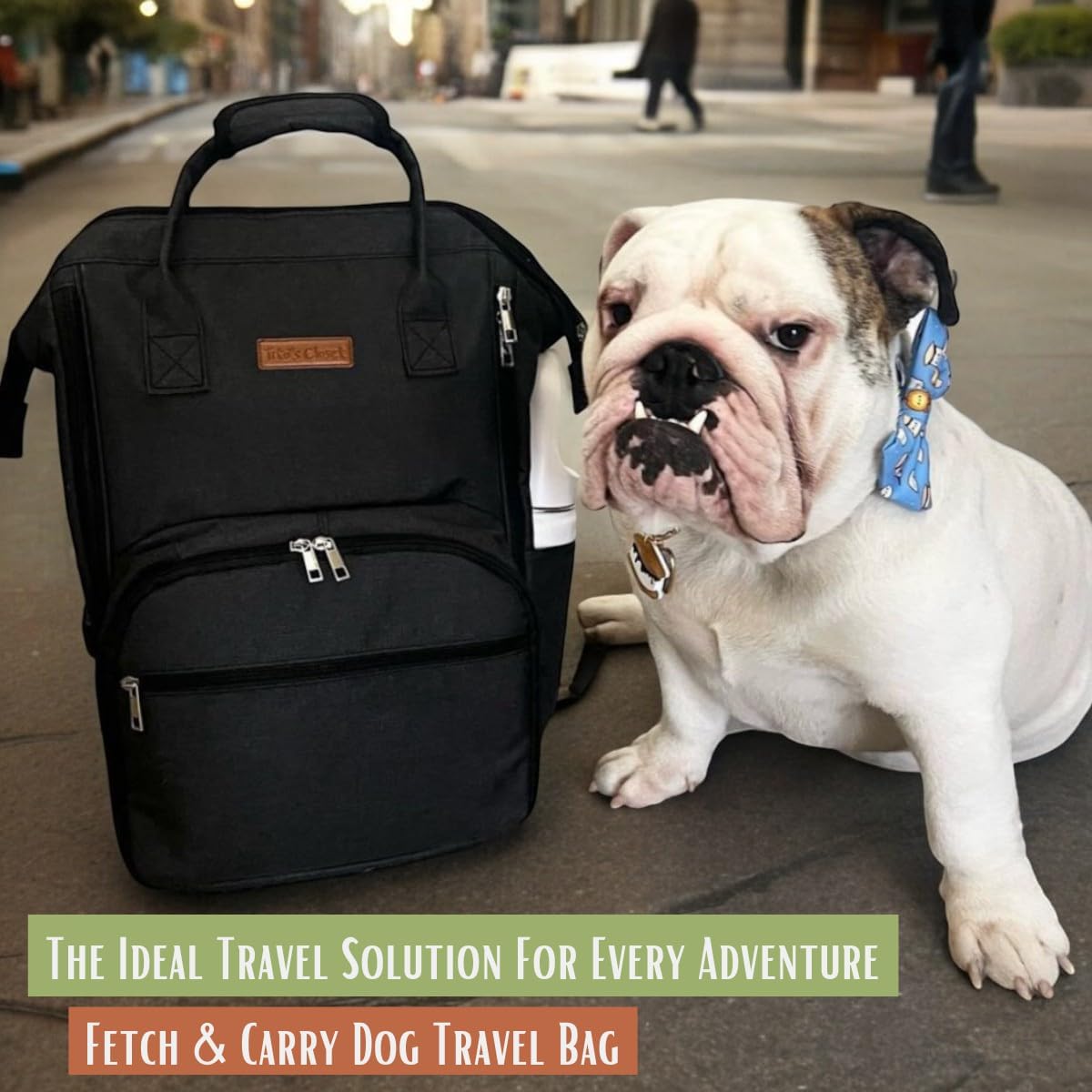 Tito's Closet Dog Travel Bag Includes Dog Travel Accessories 2-Pack Dog Travel Bowl, 2 Dog Food Containers, Dog Treat Bag (Black), DB2024