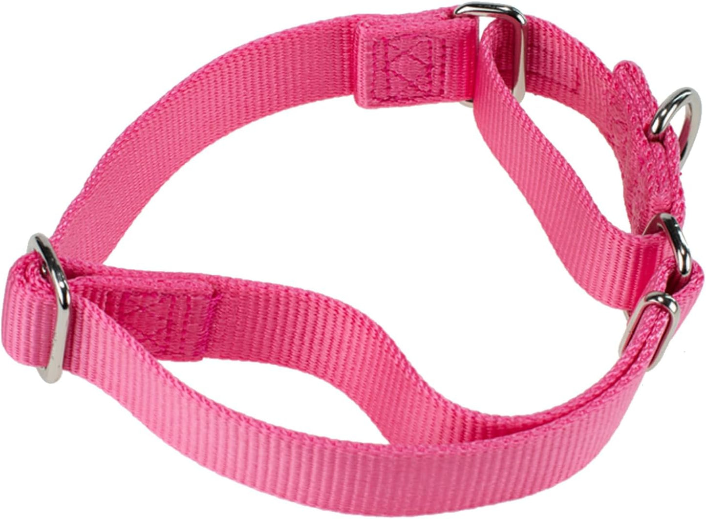 Hyhug Improved Design Nylon Webbing, Cold Water Washing Does Not Fade, Not Polluting Dog Hair, Wear Resistant and Not Prone to Fuzzing. No Slip Training Martingale Collar (Candy Pink, Medium)