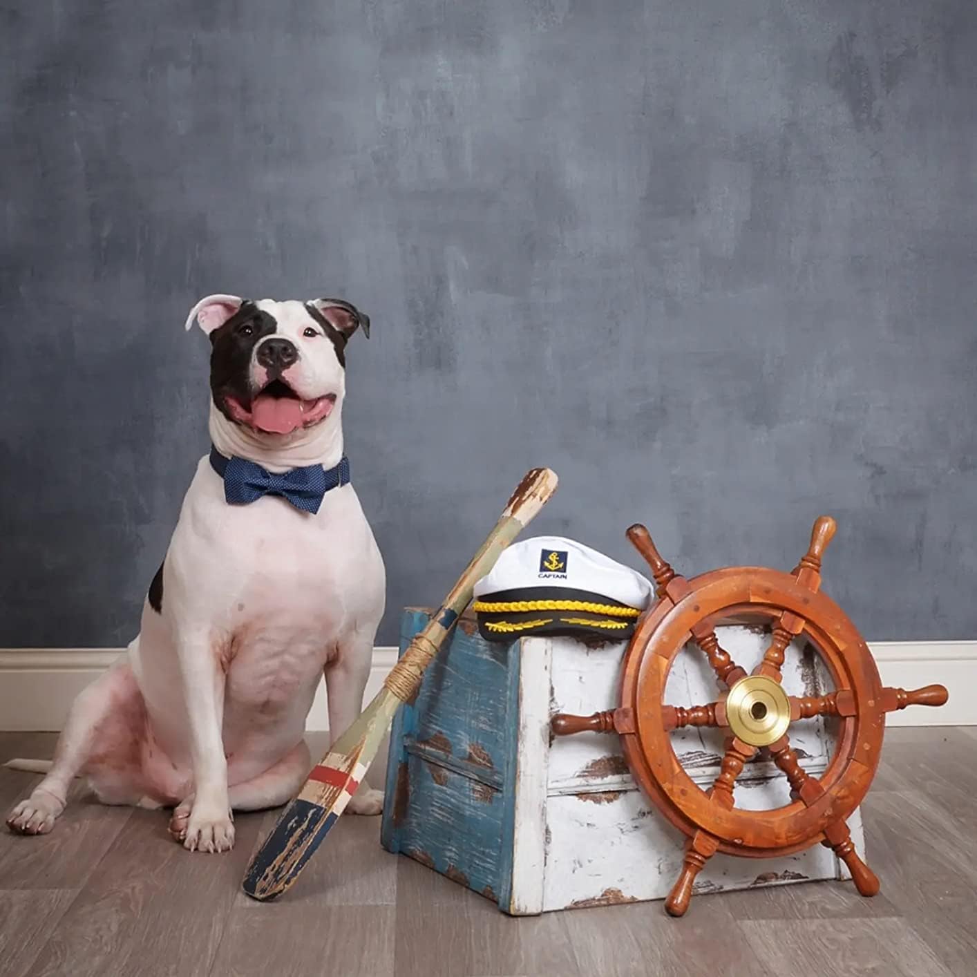 Lionet Paws Boy Dog Collar with Bowtie, Comfortable Adjustable Cute Navy Blue Bow Tie Collar for Male Dogs Gift, XLarge, Neck 16-26 inches