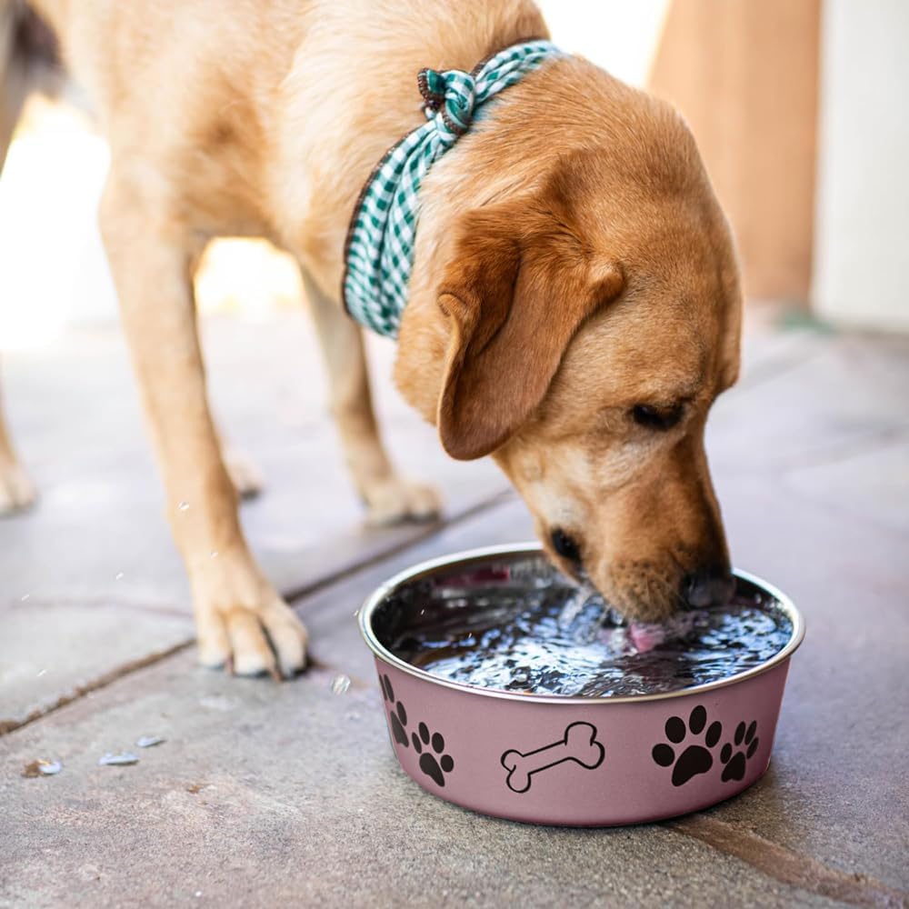 Loving Pets Bella Dog Bowls- Stainless Steel Dog & Cat Bowls - Spill Proof Dog Food Bowl, Cat Bowl, Puppy Essentials & Pet Supplies Great for Home & Travel (Large 35-65 lbs, Grape)
