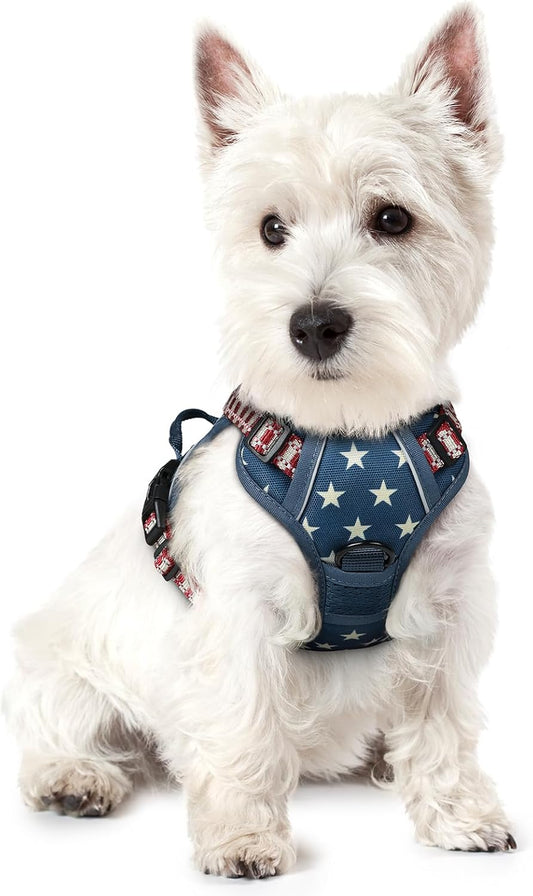 rabbitgoo Dog Harness No Pull with 2 Leash Clips, Adjustable Soft Padded, Reflective Oxford No Choke Pet Vest with Easy Control Handle for Large Dogs, Blue Star, XS