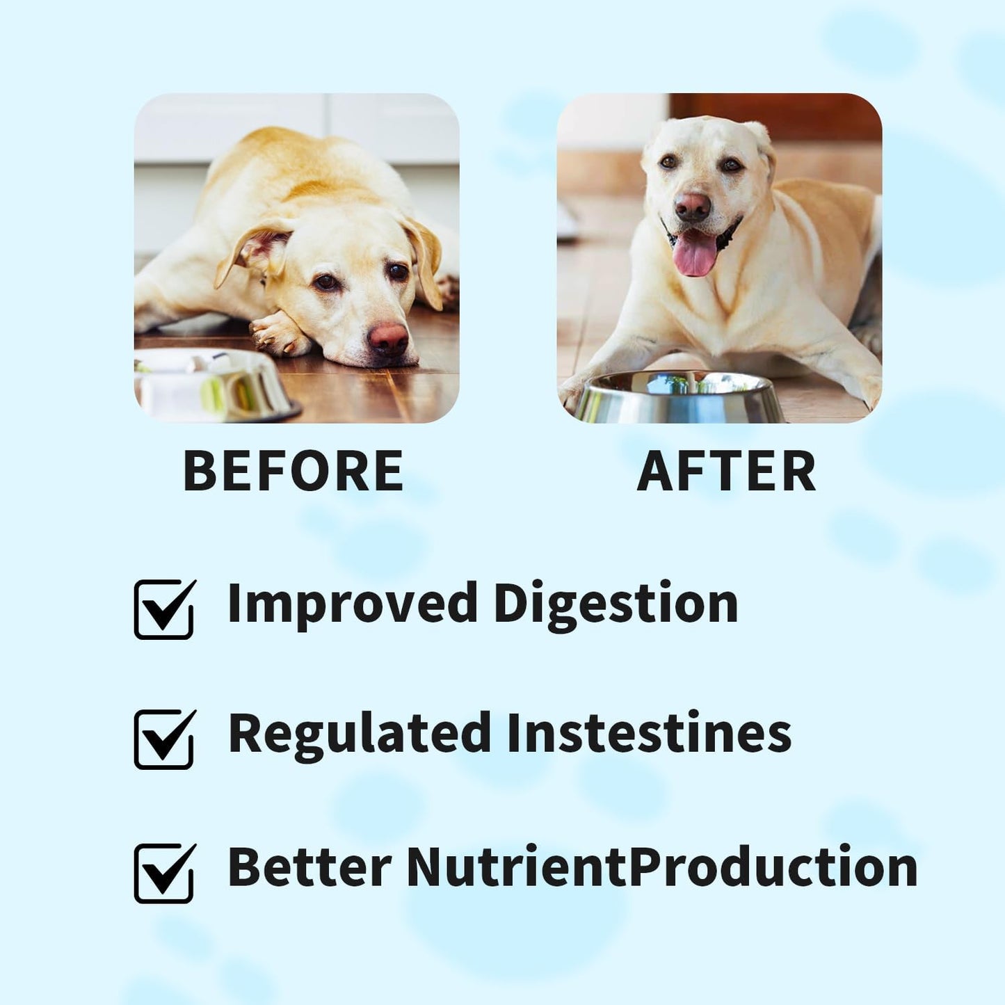 Natural Probiotic Digestive Supplement for Dogs - Probiotic Chewable with Prebiotics and Enzymes Supports Gut Health, Diarrhea & Digestion, Improve Immune System Allergy Itch Skin