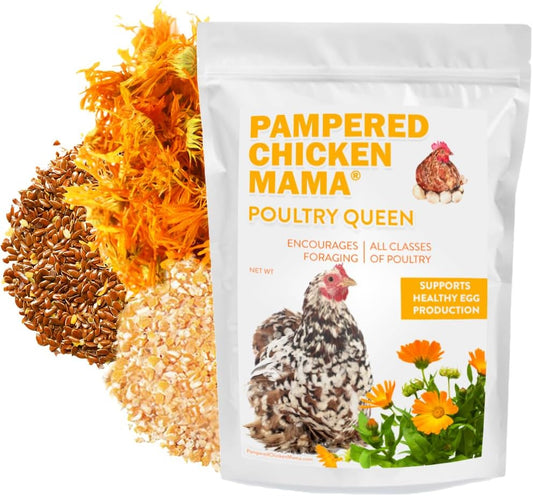 Pampered Chicken Mama Non-GMO Mealworm, Corn, Flax, & Herb Treat (10 Pounds) for Backyard Chickens, Healthy Layer Feed & Supplies for Pet Chickens Poultry Queen Treat for Hens