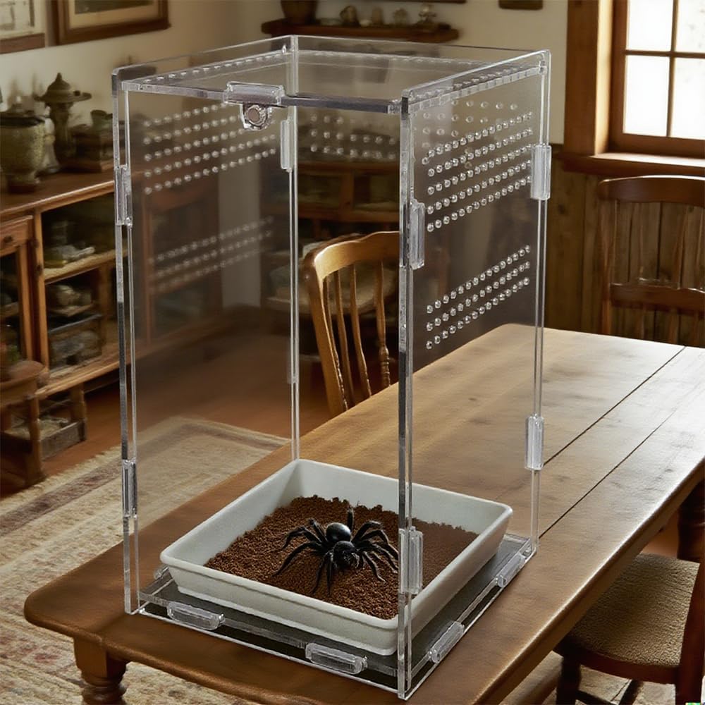 Acrylic Jumping Spider Enclosure,Reptile Enclosure,Bug Habitat, for Small Tree Dwelling Reptiles,Arboreal Tarantula Enclosure, Spider Terrarium Kit,Plastic Terrarium(4.7" X 4.7" X 8")