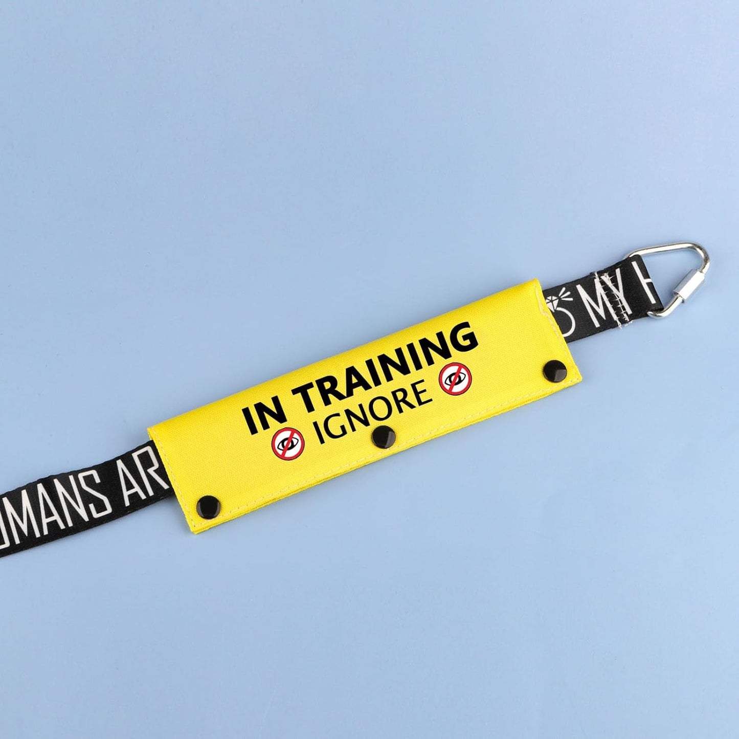 BLUPARK Funny Dog Leash Sleeve Have In Training Ignore Dog Leash Wrap Wrap Alert Hanging ID Patch Tag Pet Birthday Gift (Training Ignore-YE Sleeve)