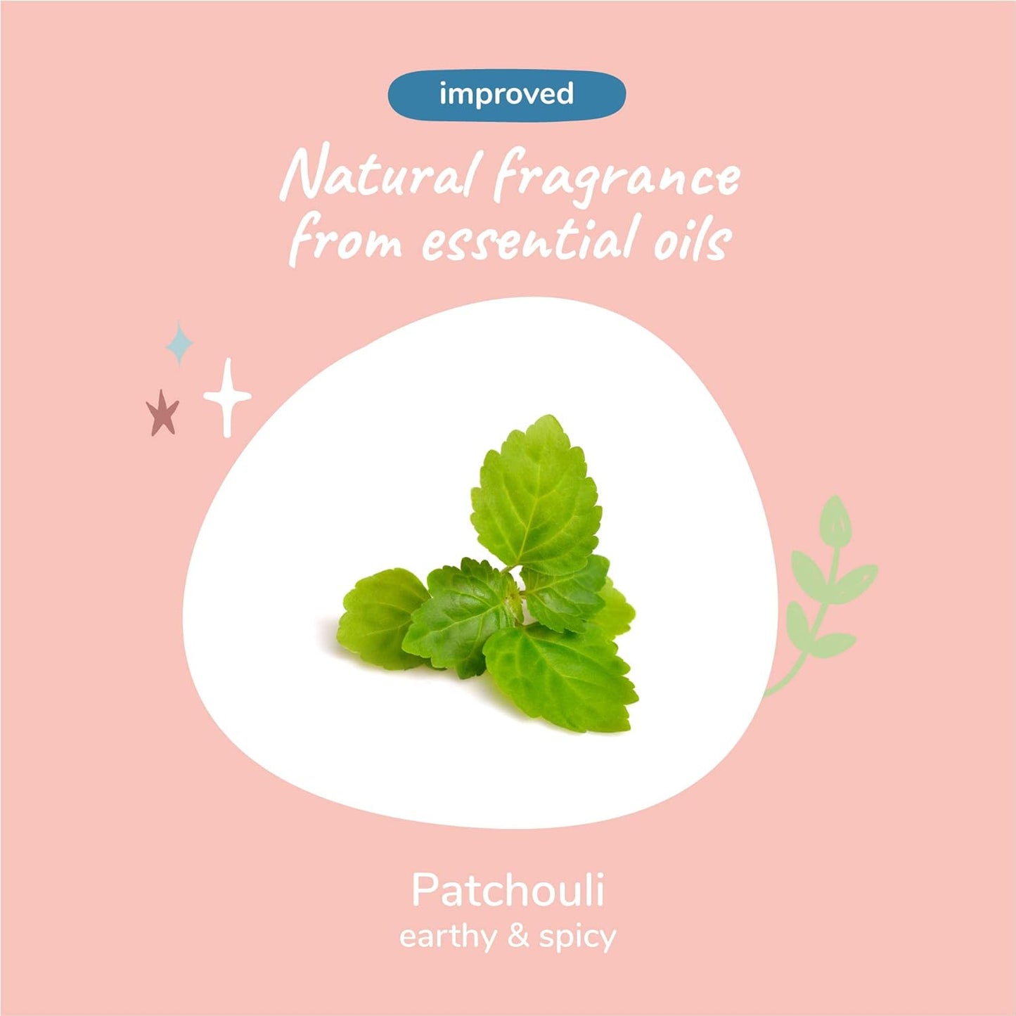 kin+kind Dog Shampoo with Activated Charcoal - Deep Clean Deodorizing Dog Shampoo for Dirt, Odor & Itch Relief - Gentle Grooming Pet Supplies with Aloe, Olive Oil & Coconut Oil - Patchouli 12 fl oz