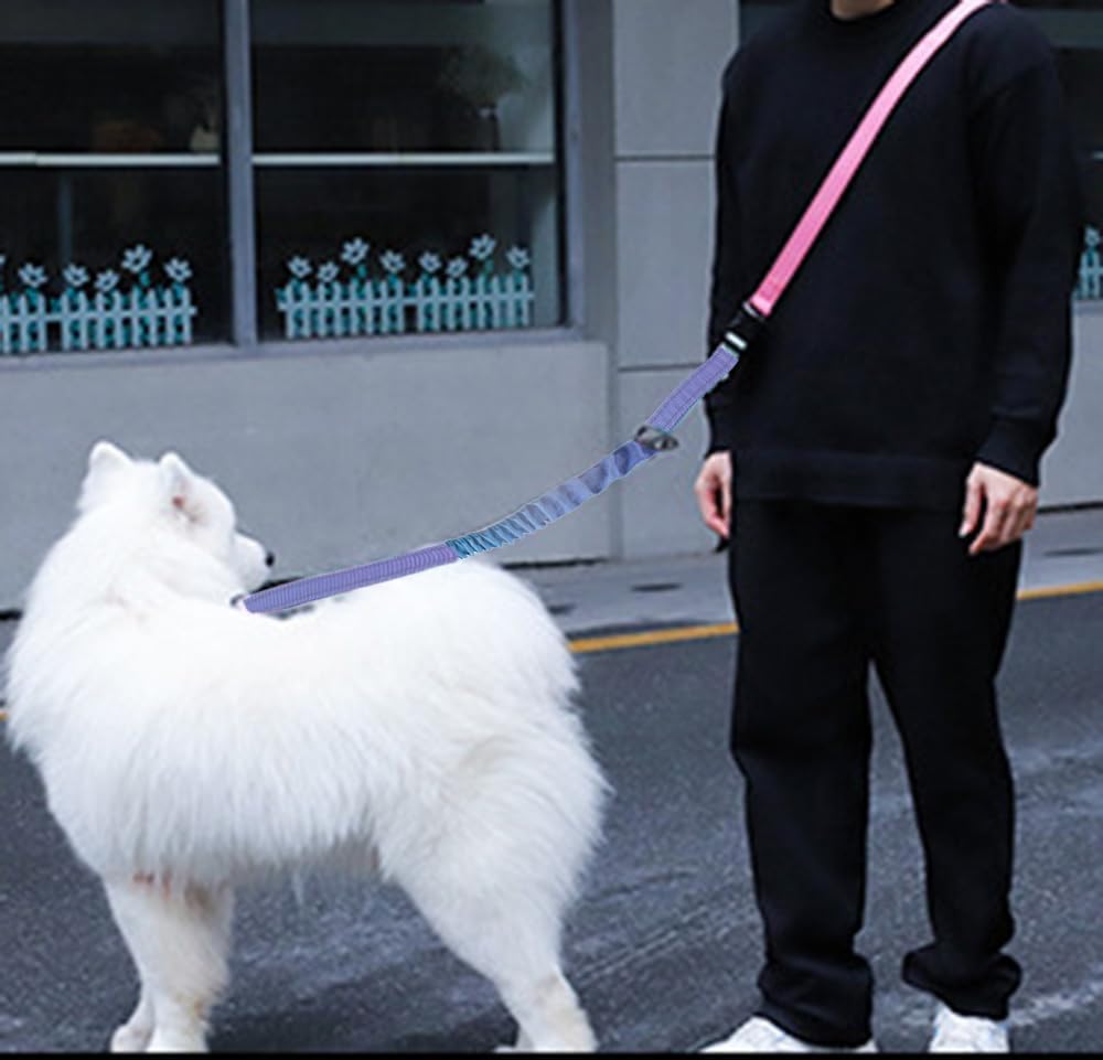 Hands Free Dog Leash for Large Medium Dogs Heavy Duty Bungee Reflective Adjustable Waist Leashes for Walking Running with Car Buckle 4-6FT (Purple)