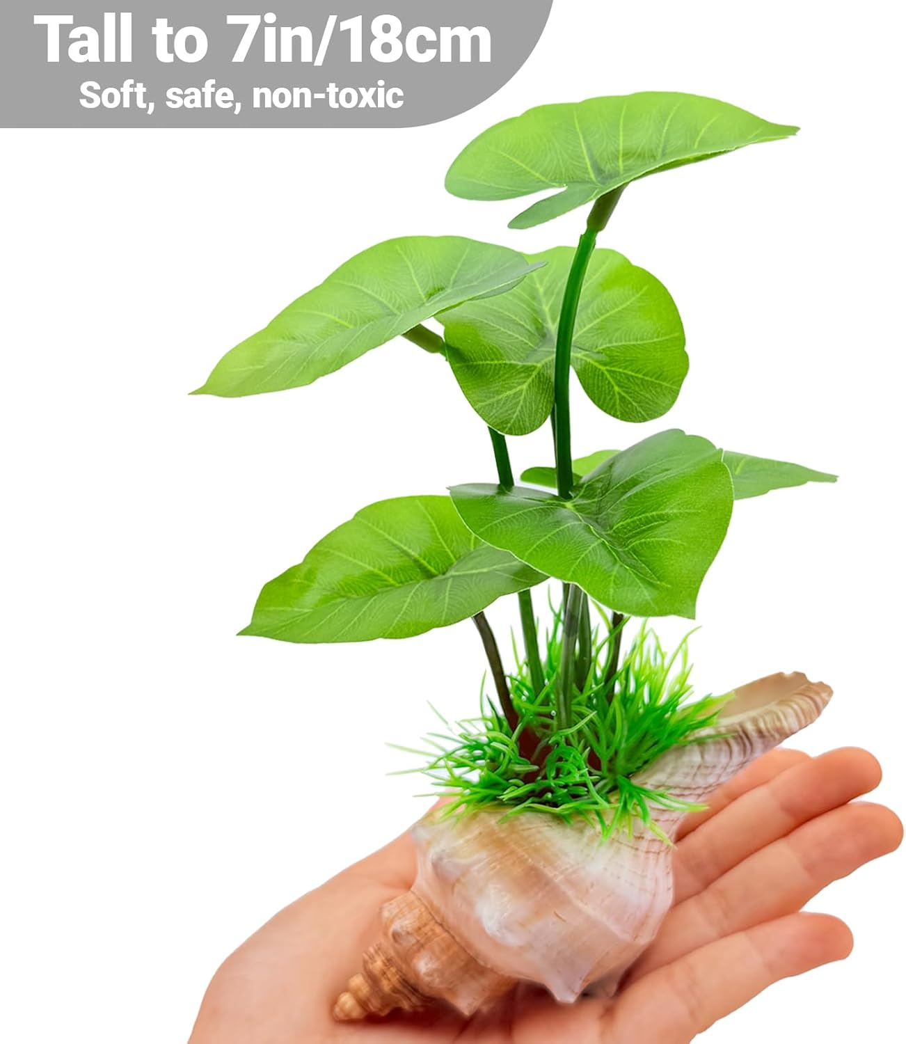 7-in Aquarium Decor Silk Plants for Fish Tank Decorations Betta Hammock - Artificial Aquarium Plants Plastic Realistic - Betta Fish Tank Accessories, Fish Hide, Goldfish Decor Natural Conch Shells