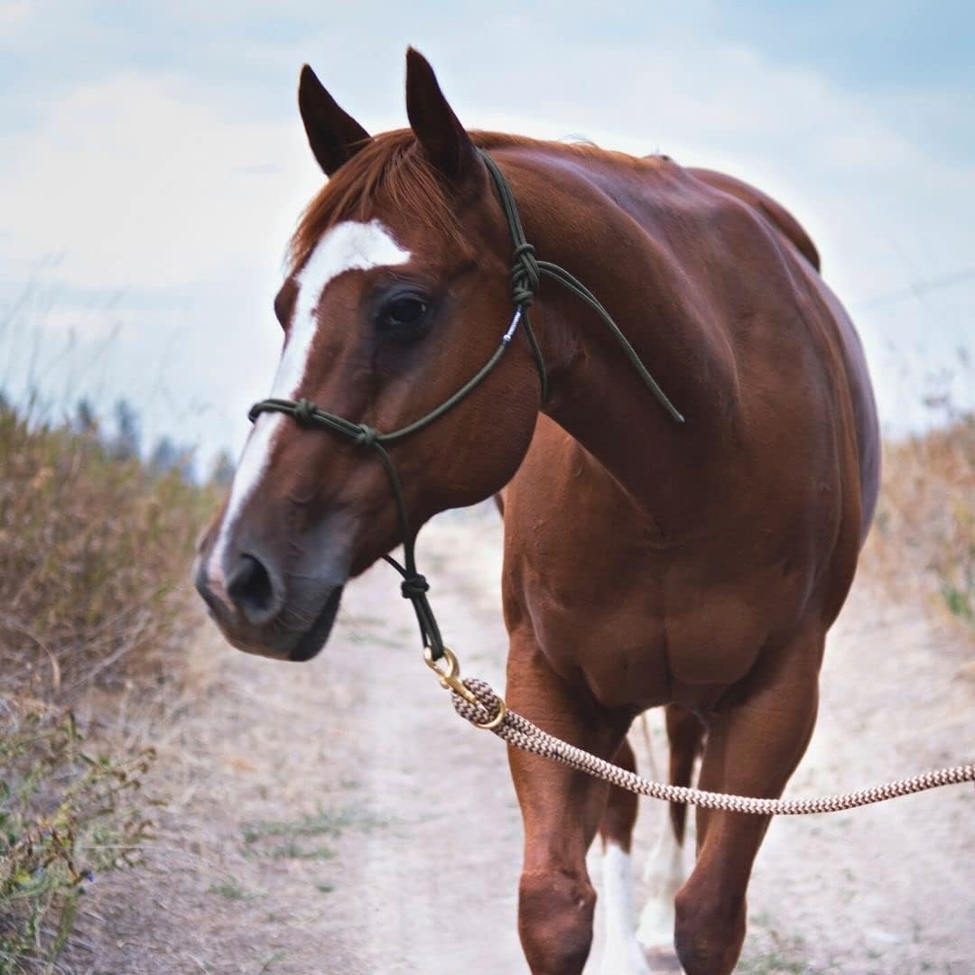 Horse Rope Training Halter - 4 Knot 1/4" Stiff Halter Cord - Used by Famous Trainers Multiple Sizes Multiple Colors