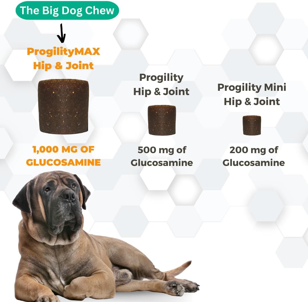 Nootie ProgilityMAX Hip & Joint Supplement for Large Dogs, Maximum Strength Dog Joint Support with Eggshell Membrane, Glucosamine and Chondroitin, 60 Count