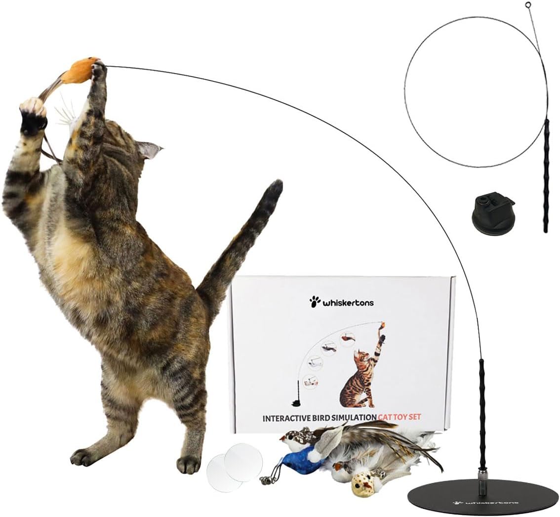 Interactive Bird Simulation Cat Toy Set, Interactive Cat Toy for Indoor Cats, Cat Feather Toy, Suction Cup, Weighted Base, 5 Replacement Birds, Feathers & Bells, Realistic Bird Impression
