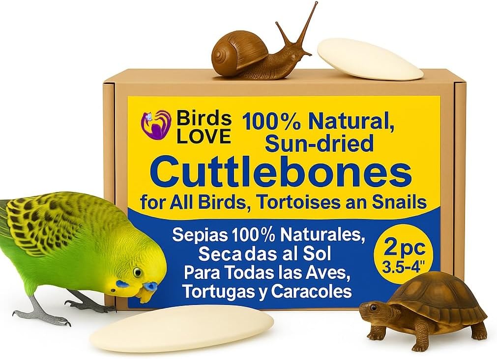 Birds LOVE Natural Cuttlebone | 100% Pure Sun-Dried Calcium Supplement for Birds, Tortoises, Snails & Crabs | Supports Beak & Shell Health | Easy to Chew | 2 Pack, Size 3.5 to 4"