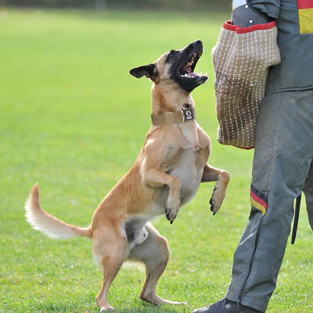 TSPRO Tactical Dog Collar 1.5 Inch Wide Thick Dog Collars with Heavy Duty Metal Buckle, Durable, Strong, Adjustable for Medium to Large Dogs (Black M)