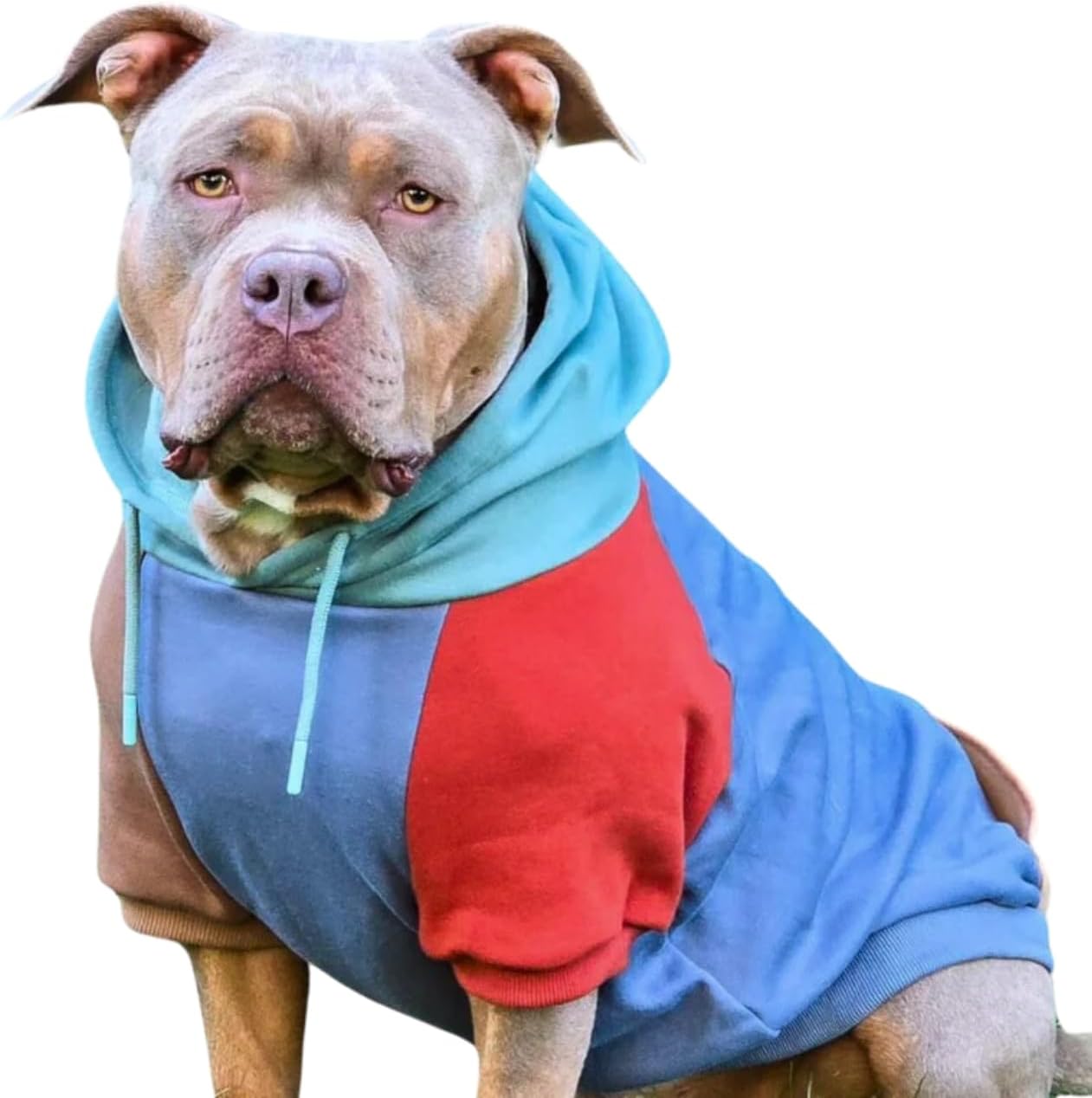 Spark Paws Dog Hoodie – Premium Dog Sweater for Small, Medium, and Large Dogs | Warm Outfits for French Bulldogs, Pitbull, Puppy, Winter Jacket Alternative - Alpine - 2XL