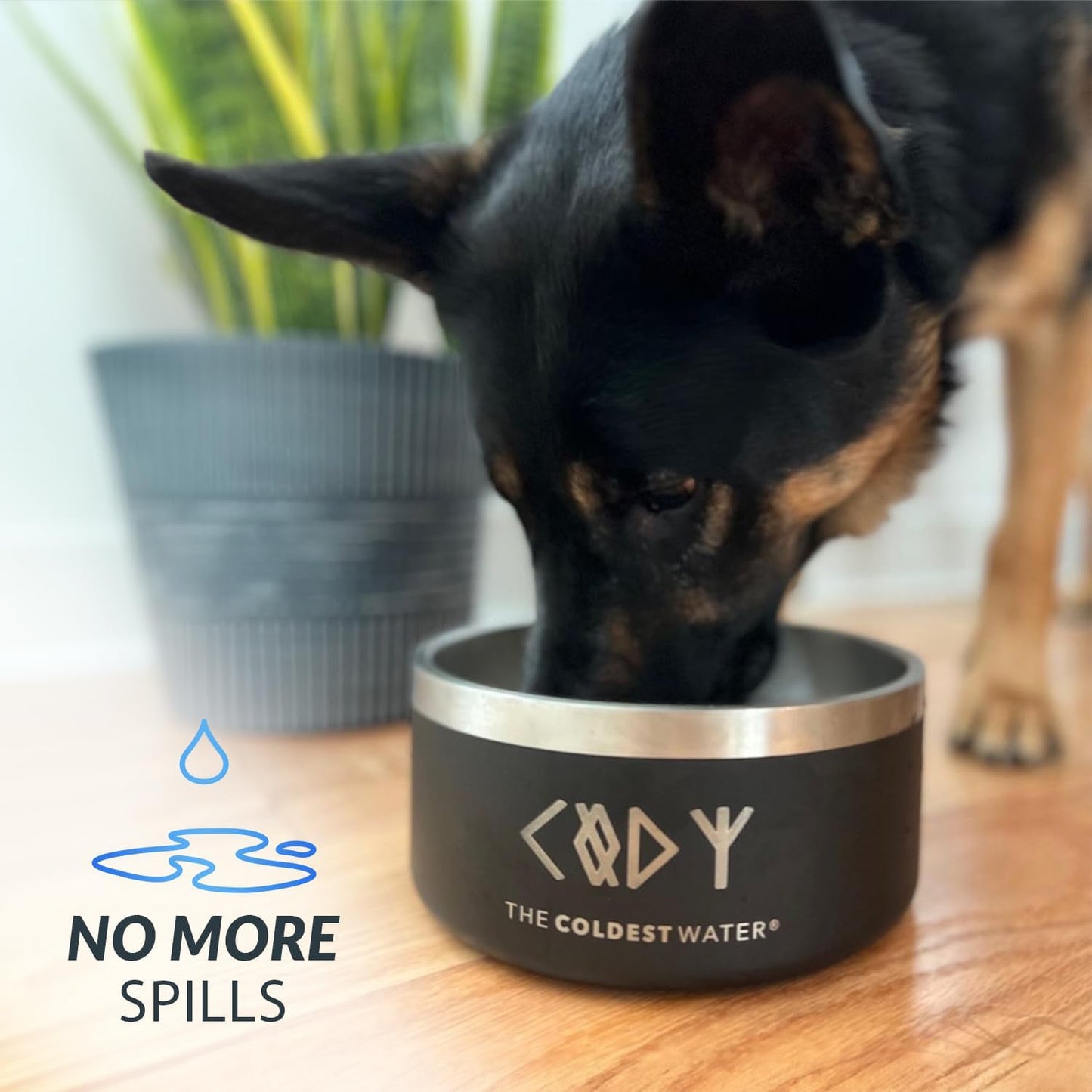 Coldest Dog Bowl - Anti Rust Metal, Non Slip, 3 Layers Insulated Stainless Steel Dog Bowls - Spill Proof & Heavy Duty - Water Bowl for Dogs, Cats & Pets, Dish Washer Safe (21 oz, Celestial Blue)