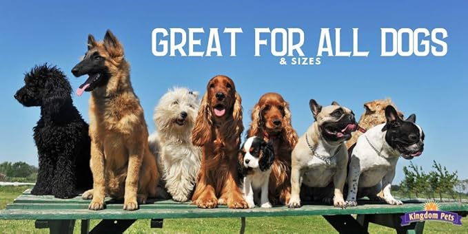 Filler Free Chicken Jerky & Sweet Potato Twists, Premium Treats for Dogs, 48-ounce bag