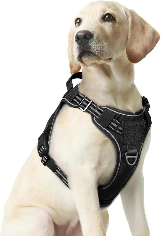 rabbitgoo Dog Harness Medium Sized No Pull, Tactical Service Pet Vest with Molle and Control Handle, Adjustable and Reflective Military Harness for Easy Walking and Training, Black, M