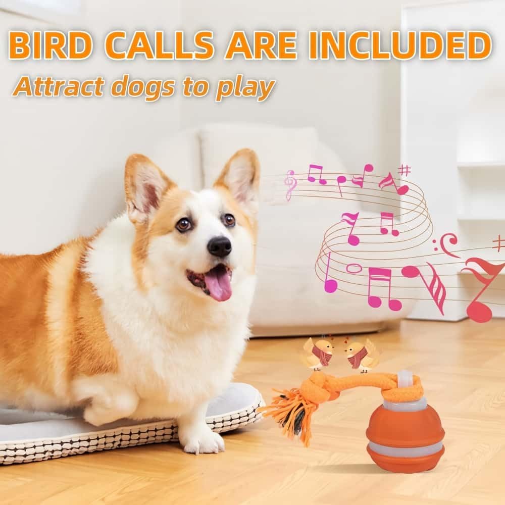 Interactive Dog Toys, Squeaky Dog Toys, Active Rolling Ball for Puppy and Medium Dogs, Squeaky, USB Rechargeable (Blue)