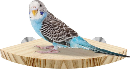 Bird Perch Corner Stand for Bird Cage Corner Platform Wood Bird Perches Corner Shelf Rest for Birds Parrots Cockatiels and Other Animal Pet Cages