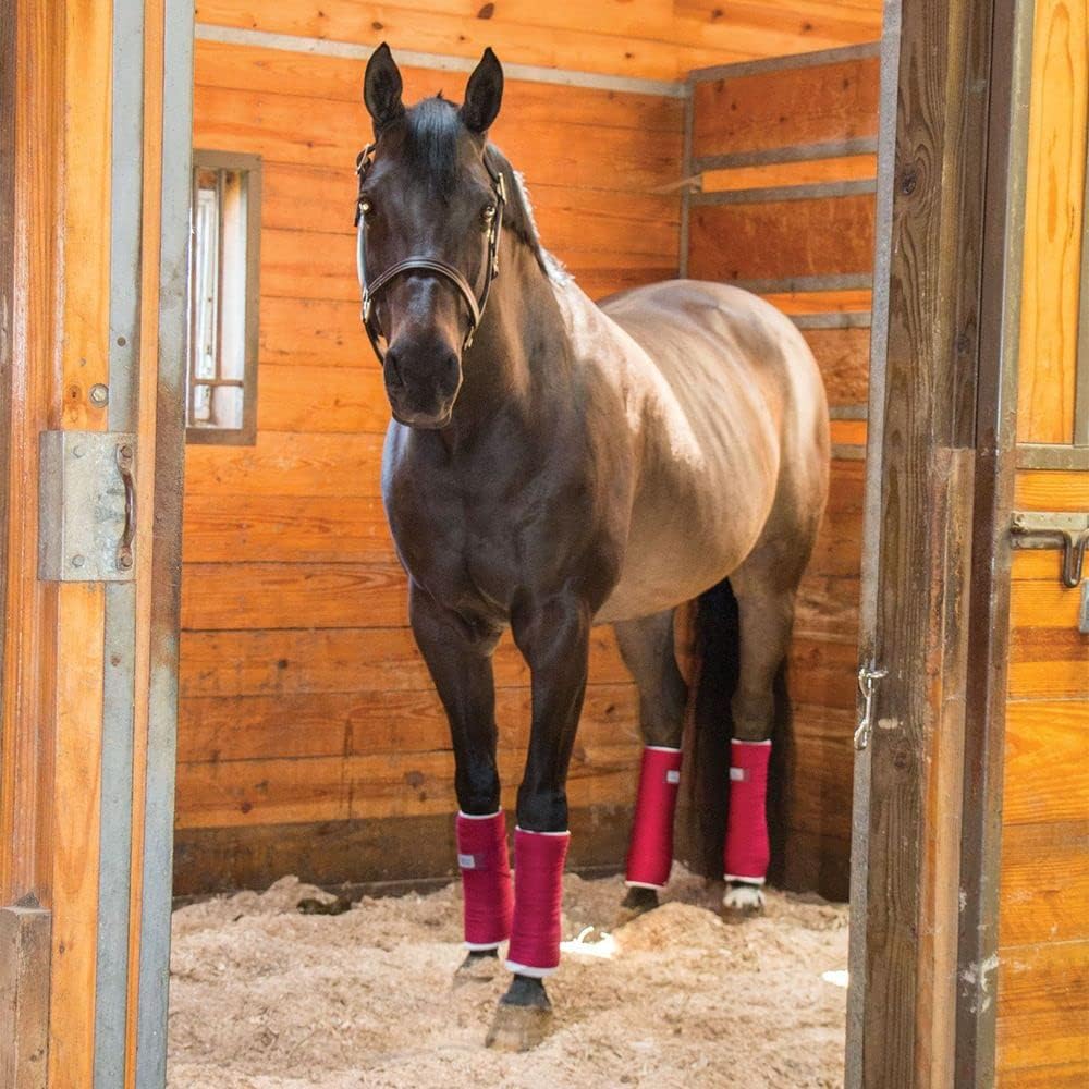 Dura-Tech Standing Wraps for Horses | Color Royal | Optimal Comfort & Support | Ideal for Post-Exercise & Trailering | Right Tension Application | Secure Closure