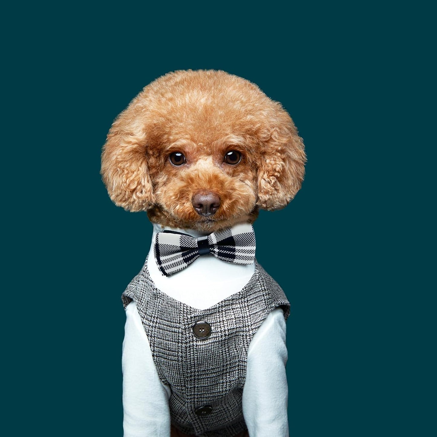 10 PCS Dogs Collar Elastic Attachment Bow Ties for Small Medium Large Pet/Cats Puppies Collar Charms Accessories Slides Bowties for Birthday Wedding Parties(Classic Large)