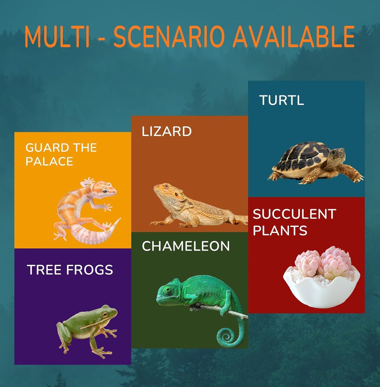 Reptile Light Fixture, 5.5 Inch Max 200W Deep Dome Heat Lamp with Optical Reflection, UVB Basking Lamp for Amphibian & Reptile Terrariums