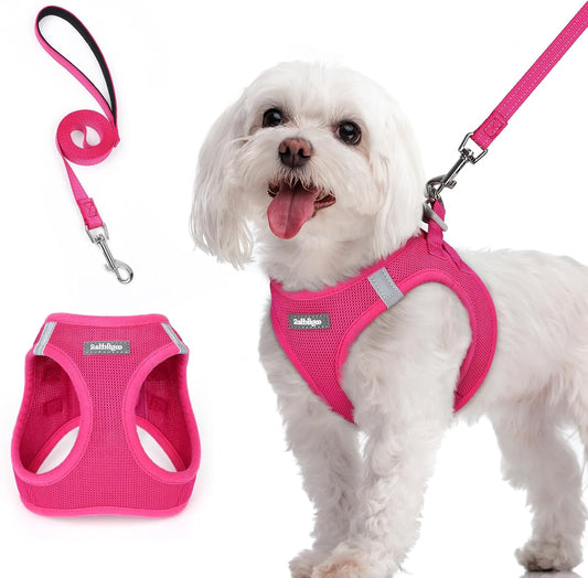rabbitgoo Dog Harness Small Sized and Leash Set, Step in Soft Light Puppy Vest, Breathable Mesh Pet Harness, Reflective for Safe Easy Walking, Rose Red M