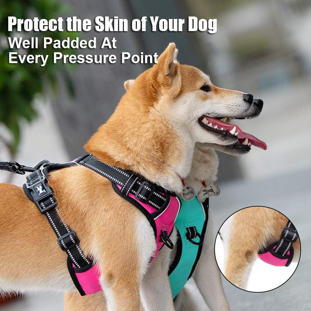 PoyPet No Pull Dog Harness, Reflective Comfortable Vest Harness with Front & Back 2 Leash Attachments and Easy Control Handle Adjustable Soft Padded Pet Vest for Small to Large Dogs (Mint Blue,L)