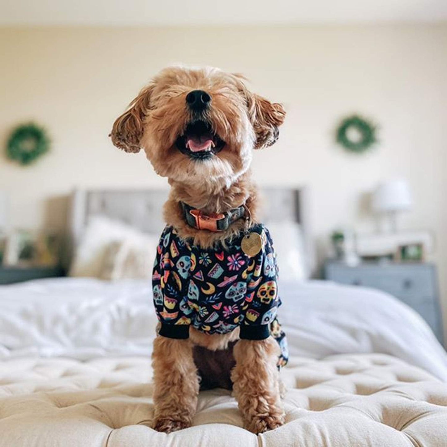 CuteBone Small Dogs Outfit Soft Puppy Onesies Pjs Dog Pajamas Pet Coat Cat Apparel Comfy Doggie Jumpsuit Bodysuit for All Seasons P73XS