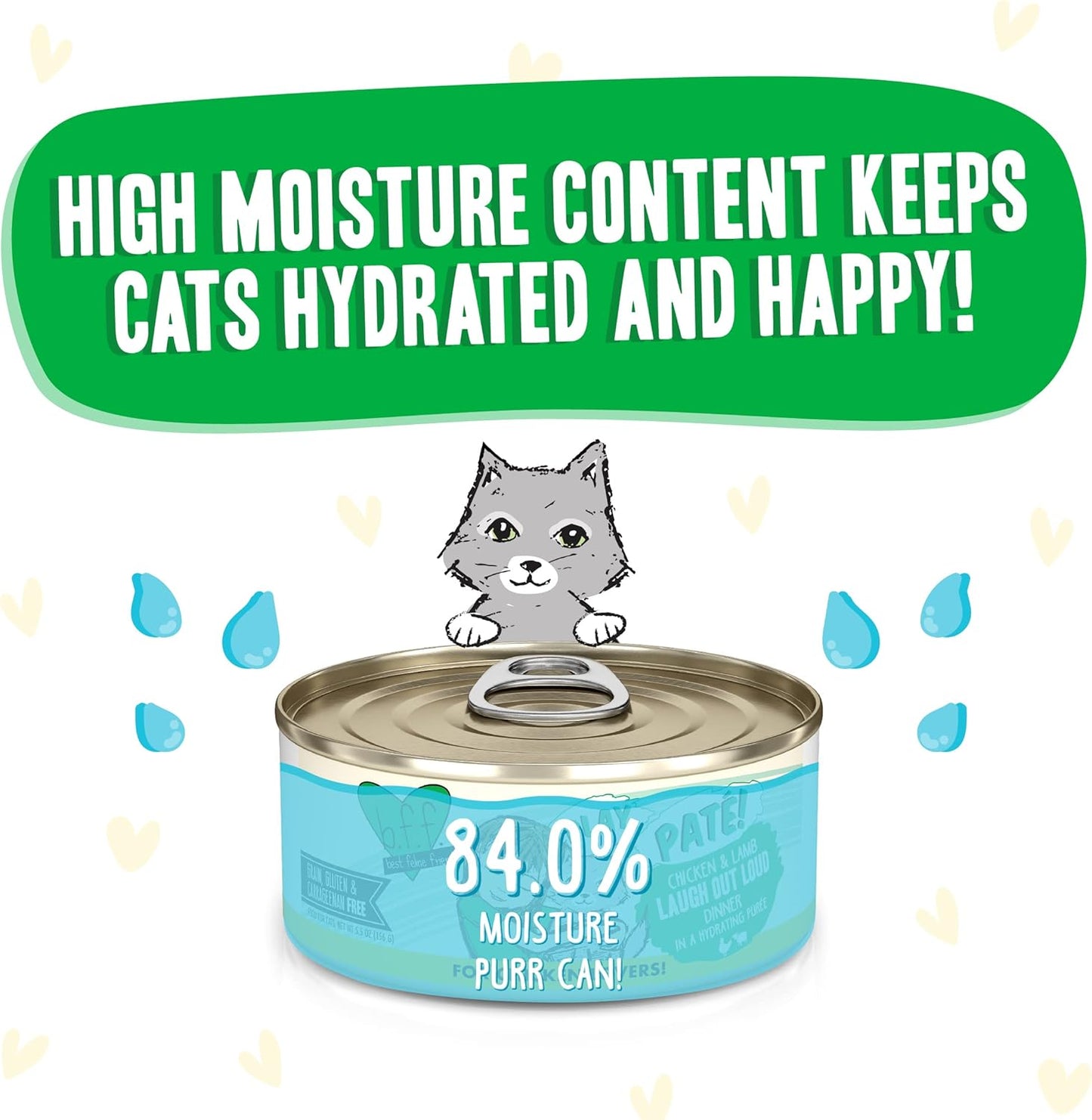 Weruva B.F.F. Play - Best Feline Friend Paté Lovers, Aw Yeah!, Chicken & Lamb Laugh Out Loud with Chicken & Lamb, 5.5oz Can (Pack of 8)