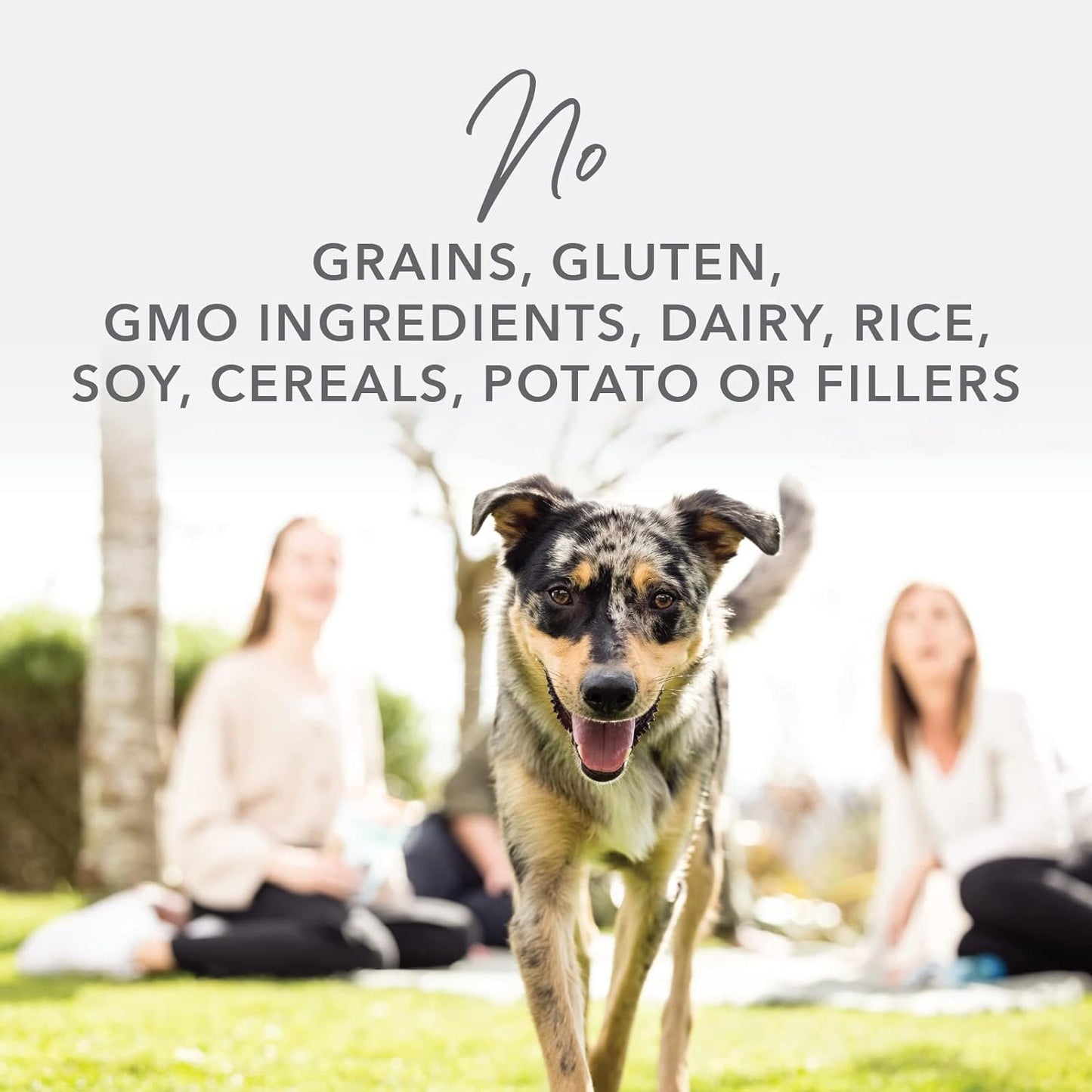 K9 Natural - Grain Free Freeze Dried Dog Food - Lamb & Salmon, 17.6oz