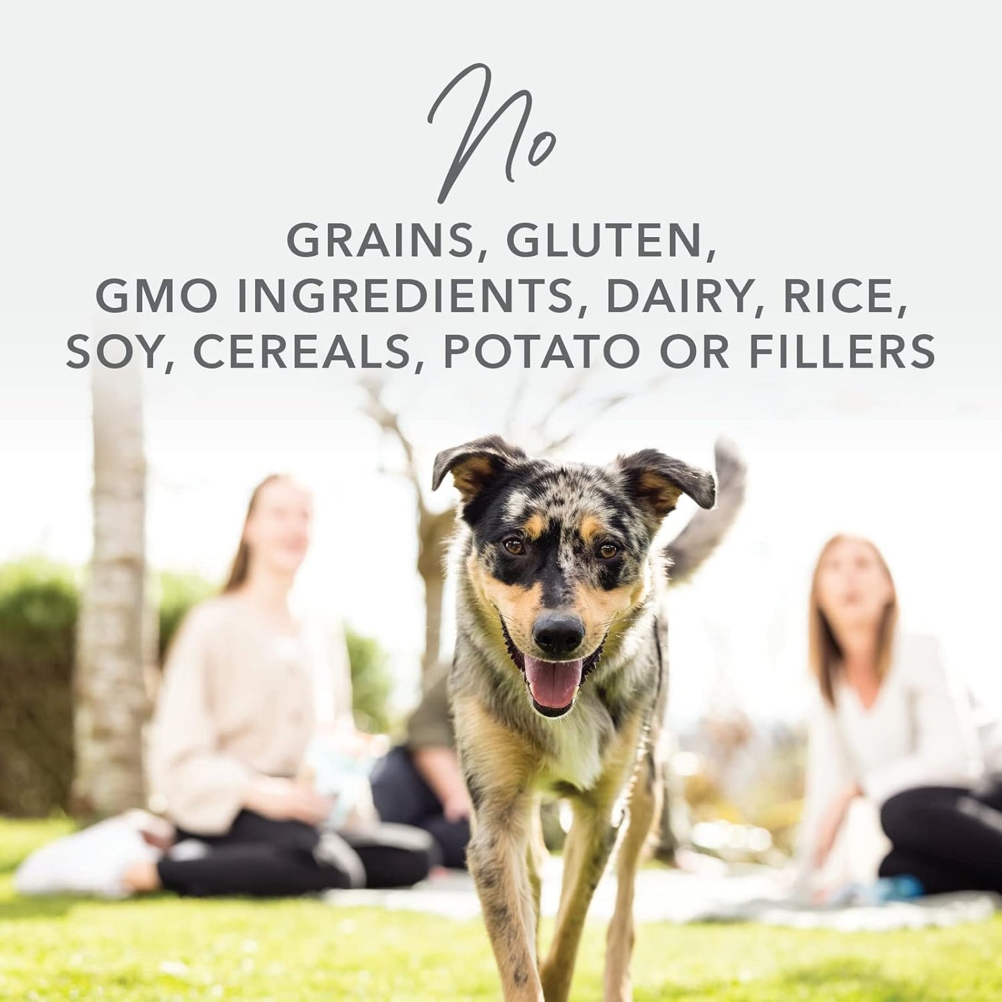 K9 Natural - Grain Free Freeze Dried Dog Food - Chicken, 4lb