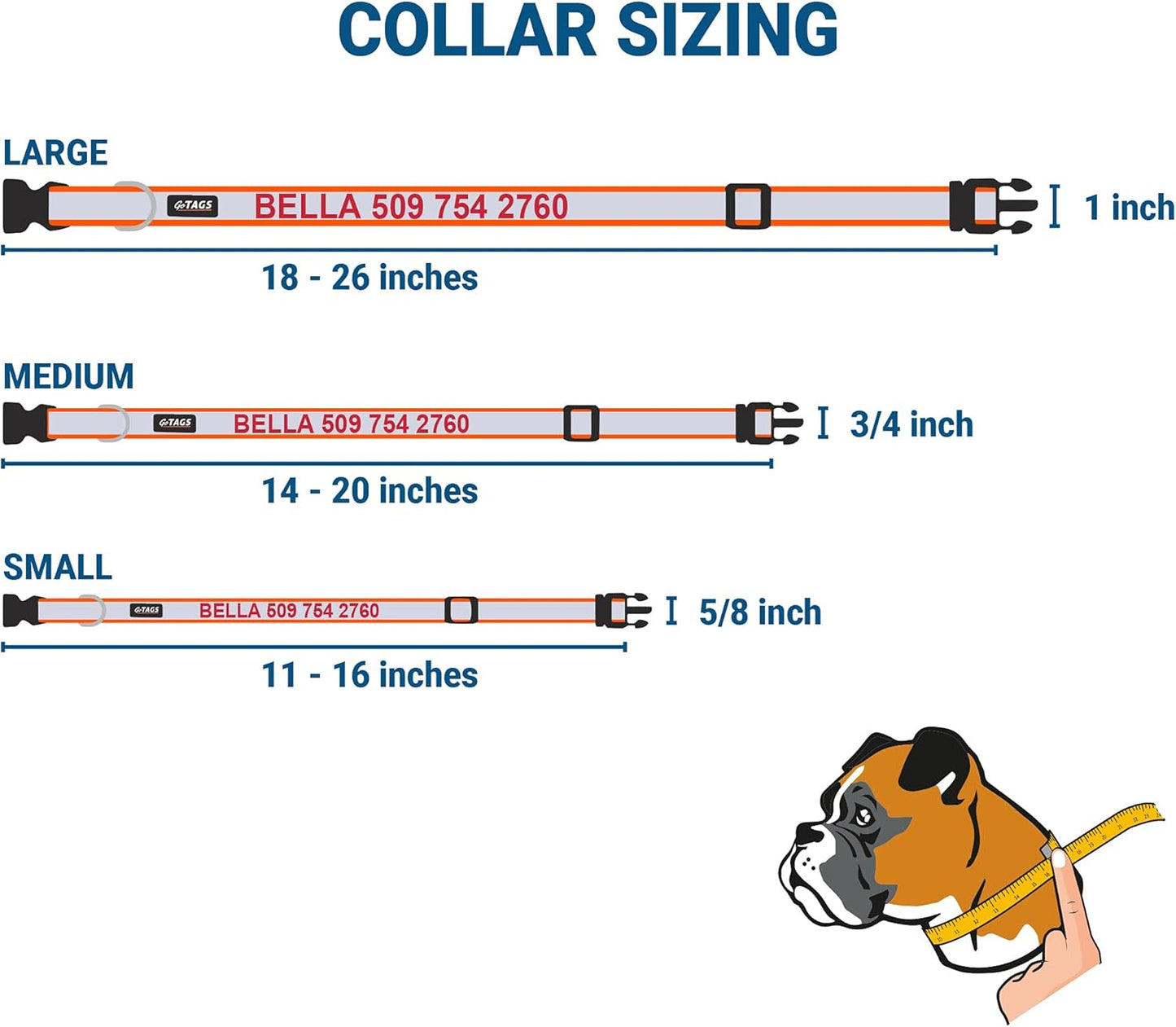 GoTags Reflective Personalized Dog Collar with Nameplate, Adjustable Dog Collar with Custom Engraved Steel Slide On Pet ID Tag, Silent, No Noise Dog Tag for Large Medium or Small (Orange, Medium)