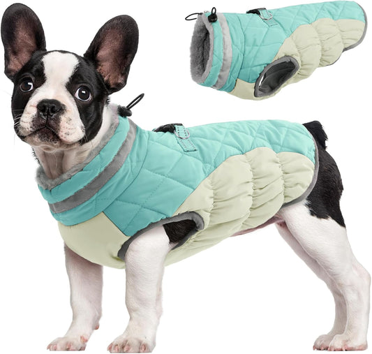 FUAMEY Dog Coat for Small Dogs,Waterproof Dog Winter Jacket with Harness Built in Puppy Cold Weather Coats Reflective Pet Vest with Zipper Warm Fleece Dogs Snowsuit Windproof Mint Green XS