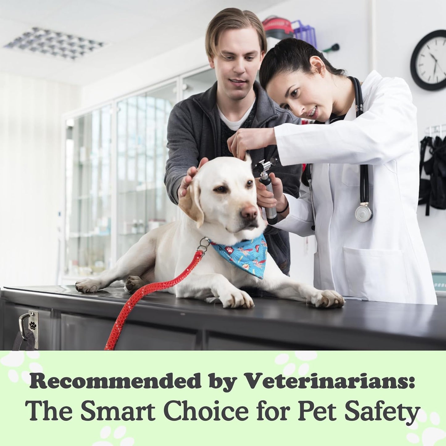 Canine Hitch- Secure Dog Leash Parking Mounted Indoor – Outdoor Wall Hook - Tie Out Stainless Steel Practical Lead Management for Home & Business, Slim Compact