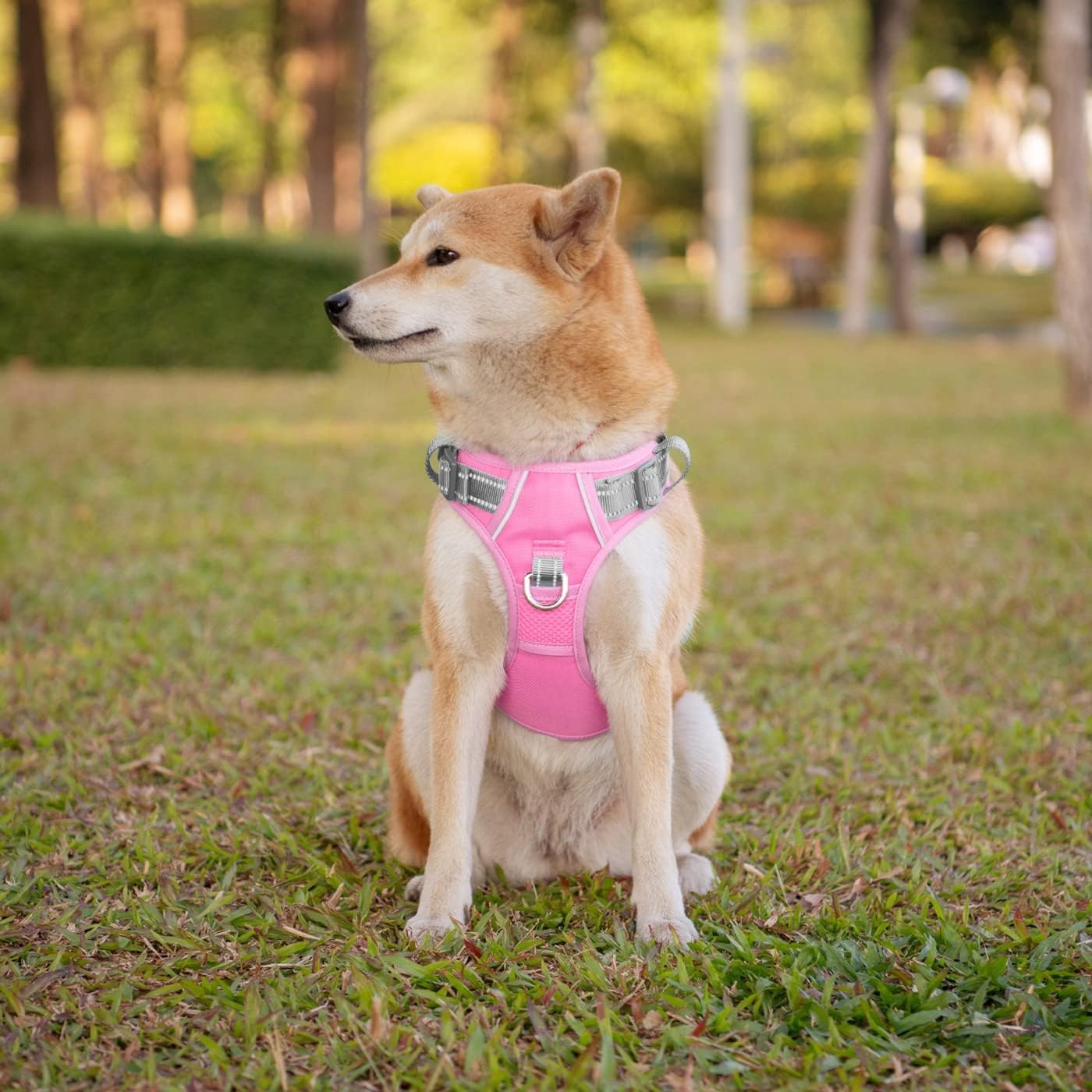 PHOEPET No Pull Dog Harness, Unique Colors Reflective Adjustable Dog Vest, with Soft Training Handle Metal Clips for Small Medium Large Dogs (Baby Pink Base & Grey Straps,S)